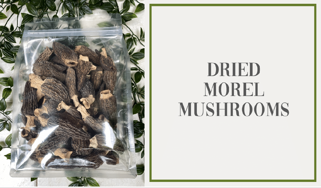 Earthy and Flavourful Dried Morel Mushrooms The French Grocer Singapore