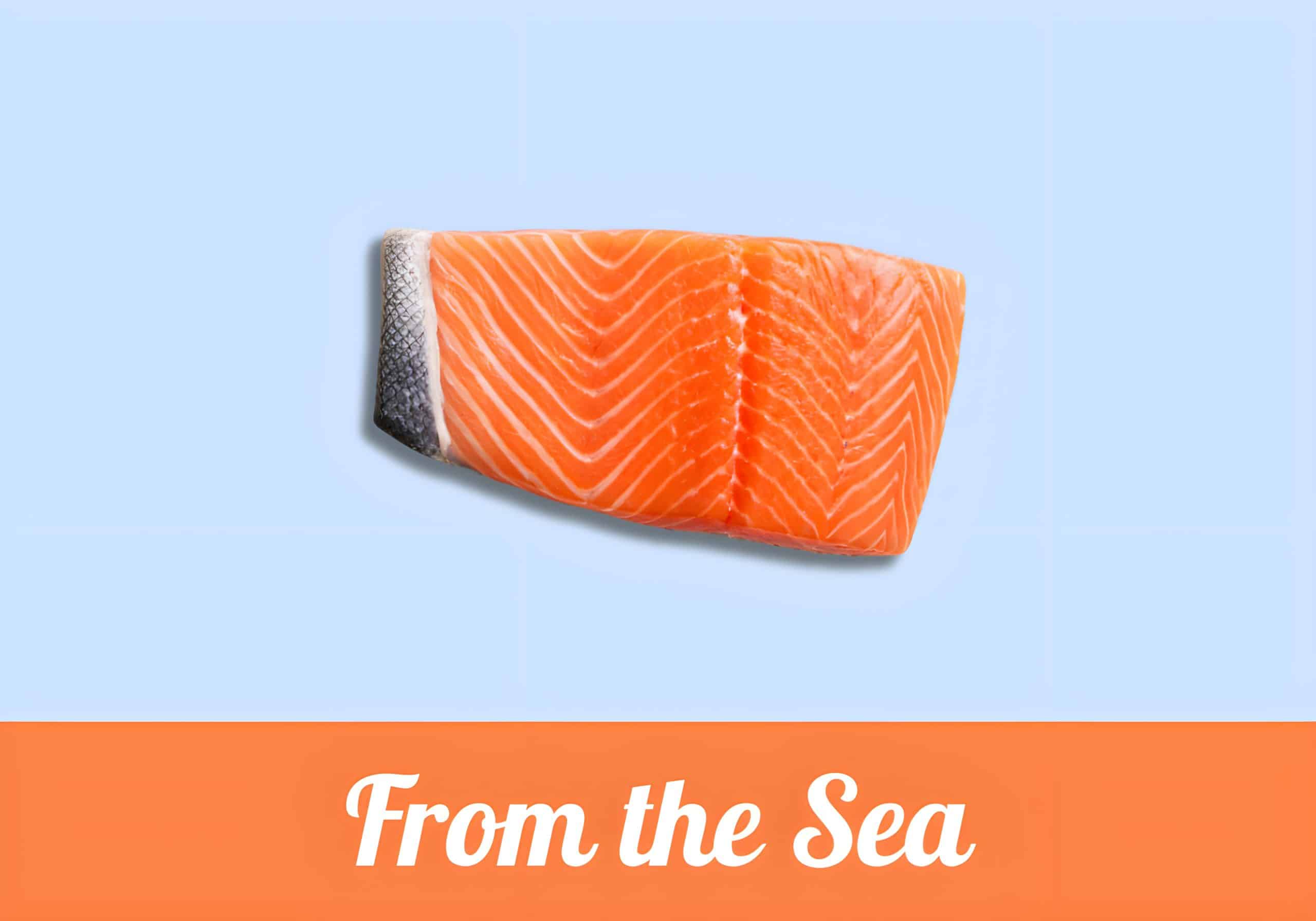 From the Sea