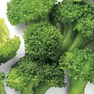 Belgium Broccoli Florets large 40/60mm 2.5kg pkt - Frozen