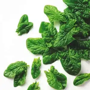 Belgium Leaf Spinach portions 2.5kg pkt - Frozen