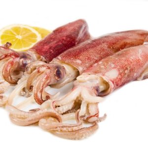 Raw Loligo Squid Whole Cleaned 20/40 1kg - Frozen