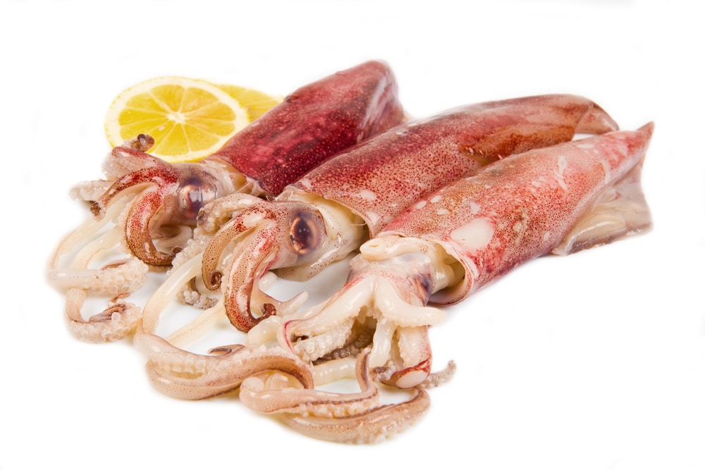 Raw Loligo Squid Whole Cleaned 20/40 1kg - Frozen