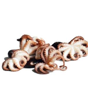 Baby Octopus Whole Cleaned 40/60g pc 1kg pkt - Frozen