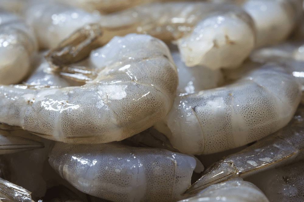 Raw Vannamei Prawn peeled deveined tail off 41/50 454g pkt- Frozen - Image 2