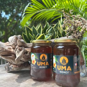 France New Caledonia Lifou multi Flowers 100% Pure Honey pesticides Free Paris Gold Medal 500g glass Jar