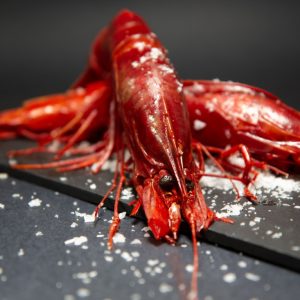 Spain Buba Camaron Scarlet Shrimp Carabinero ~1kg - Frozen