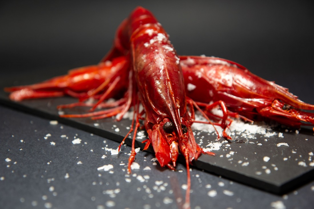 Spain Buba Camaron Scarlet Shrimp Carabinero ~1kg - Frozen