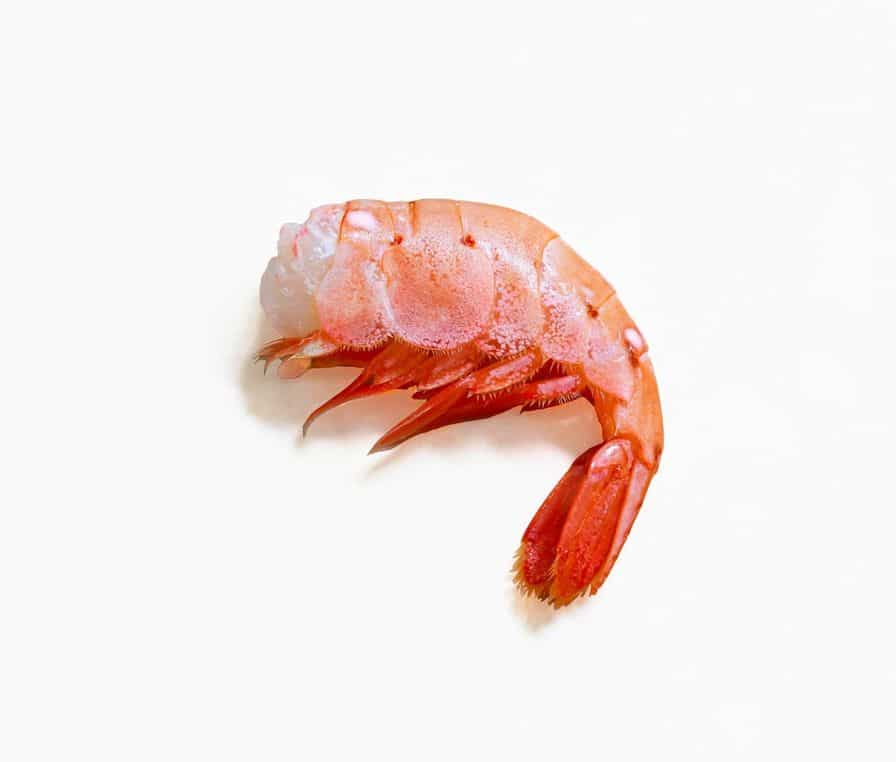 Canada Raw Sea Wild Spot Prawn 20/24 1kg Pkt - Frozen - Image 2
