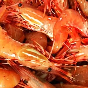 Canada Raw Sea Wild Spot Prawn 20/24 1kg Pkt - Frozen